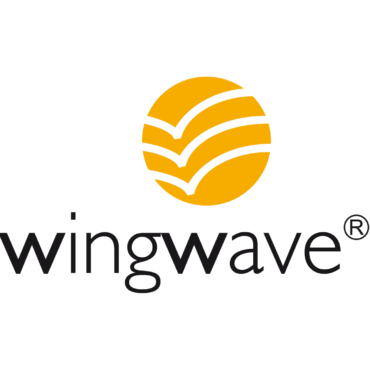 wingwave® – ein effizientes Kurzzeit-Coaching.
